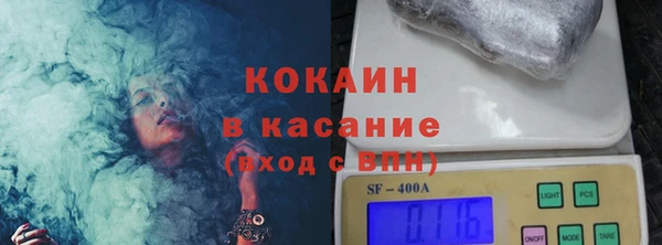 стаф Алзамай