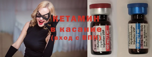 стаф Алзамай