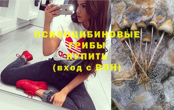 каннабис Алексин