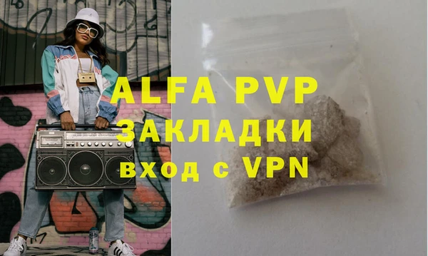 стаф Алзамай