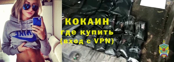 стаф Алзамай